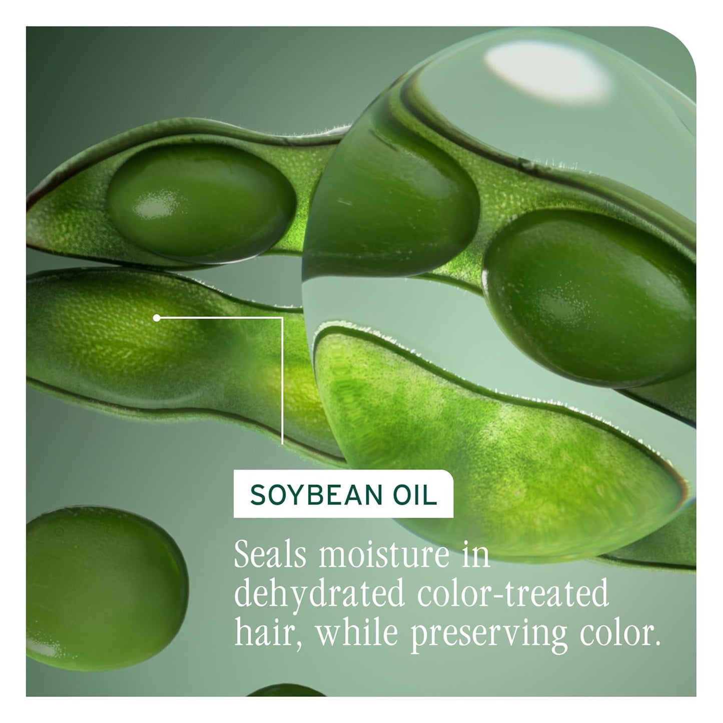 Active Ingredient for Biolage Color Last Shampoo is soybean oil