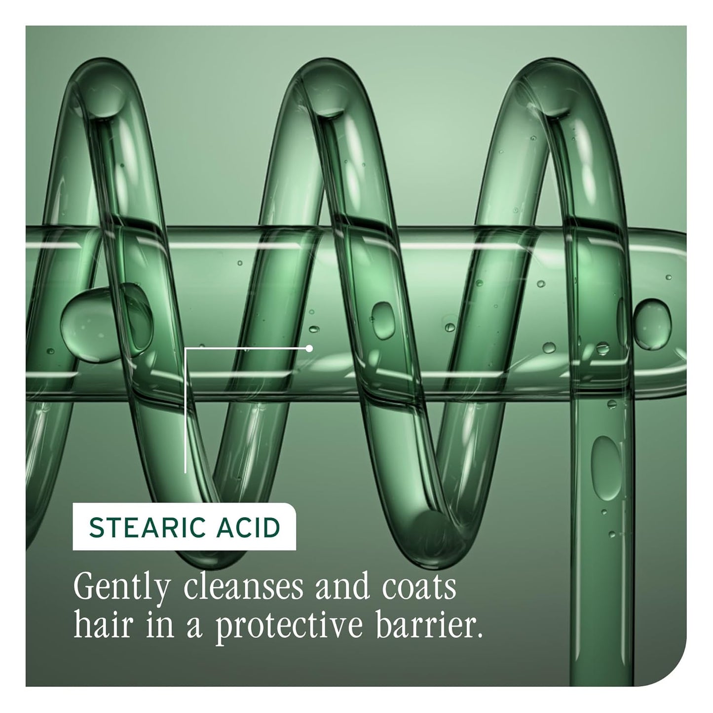 Stearic acid is an active ingredient of Biolage Color Last Conditioner