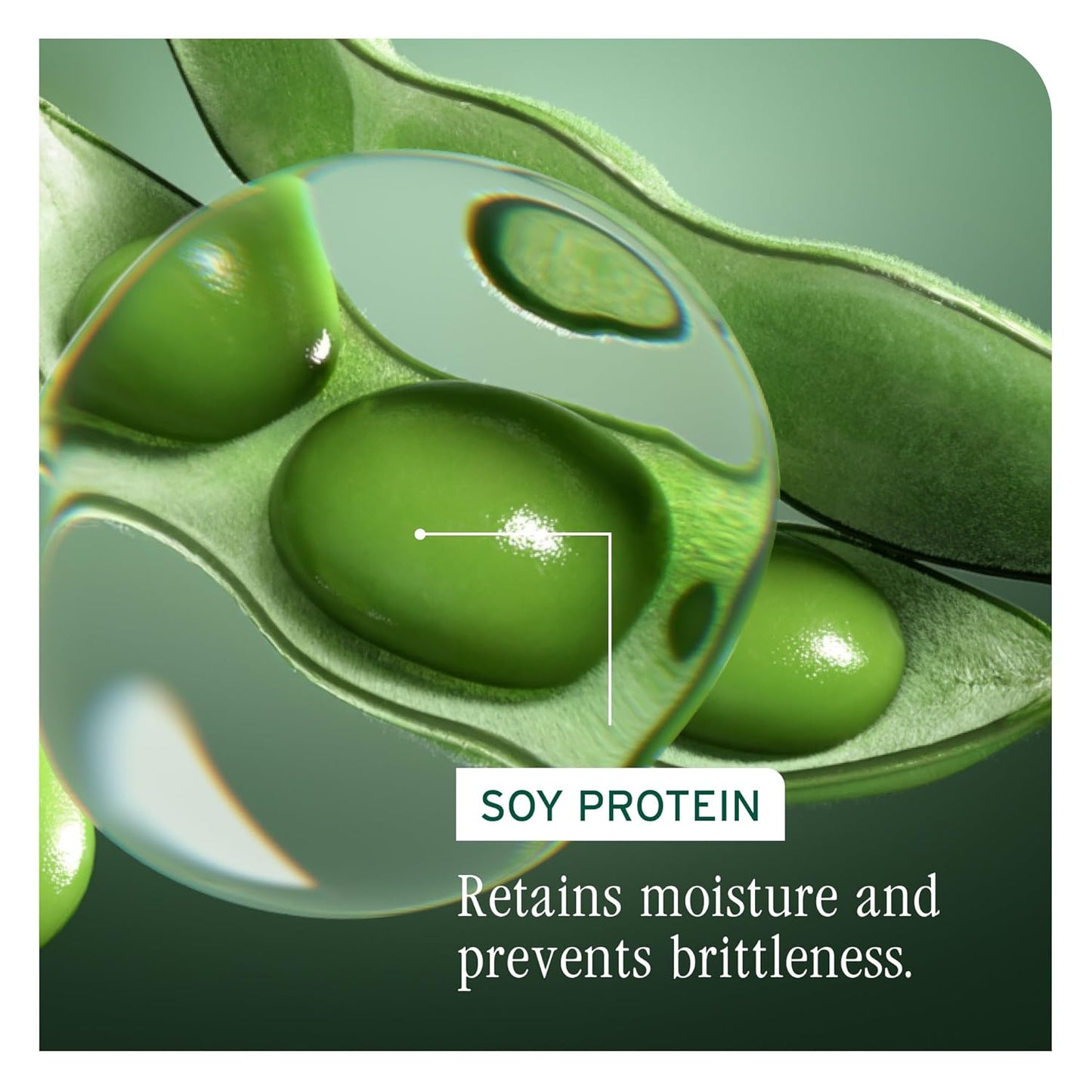 An active ingredient for Biolage Volume Boost Shampoo is soy protein