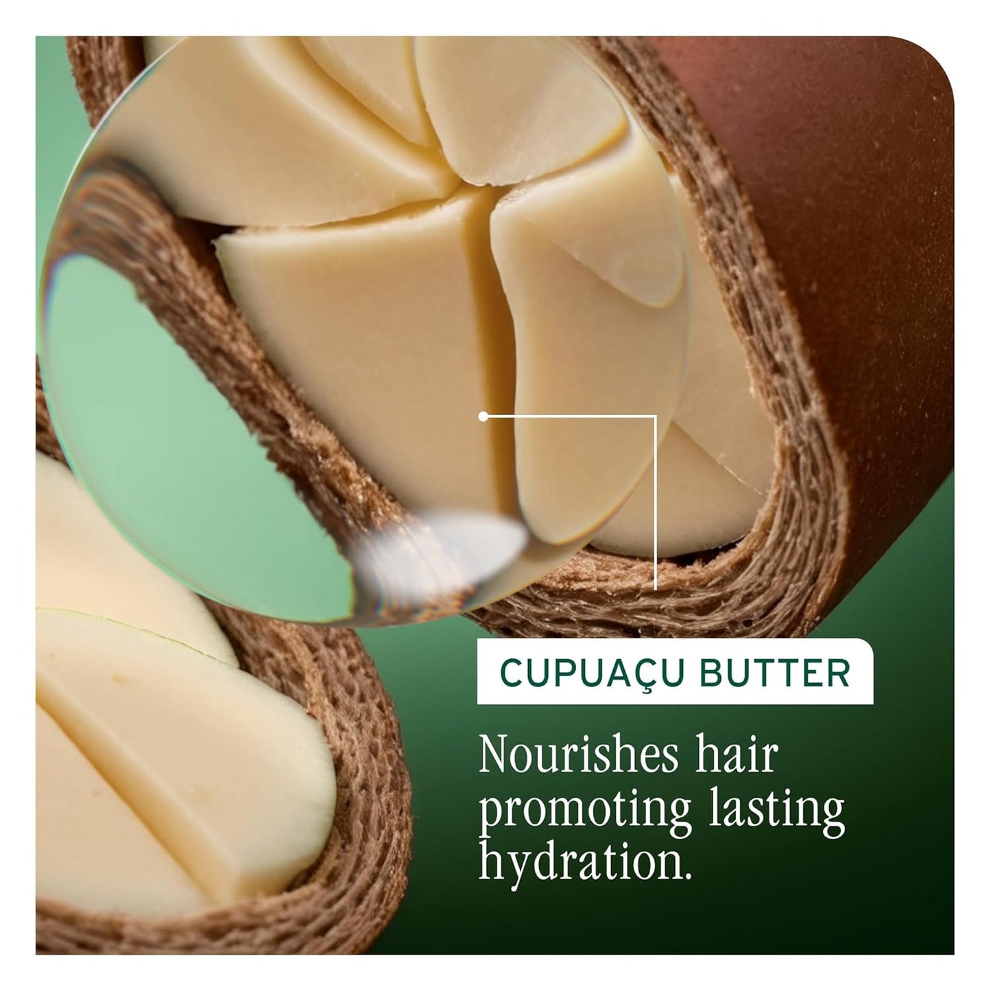 An active ingredient for Biolage Ultra Hydra Source Leave-In Cream is cupuacu butter