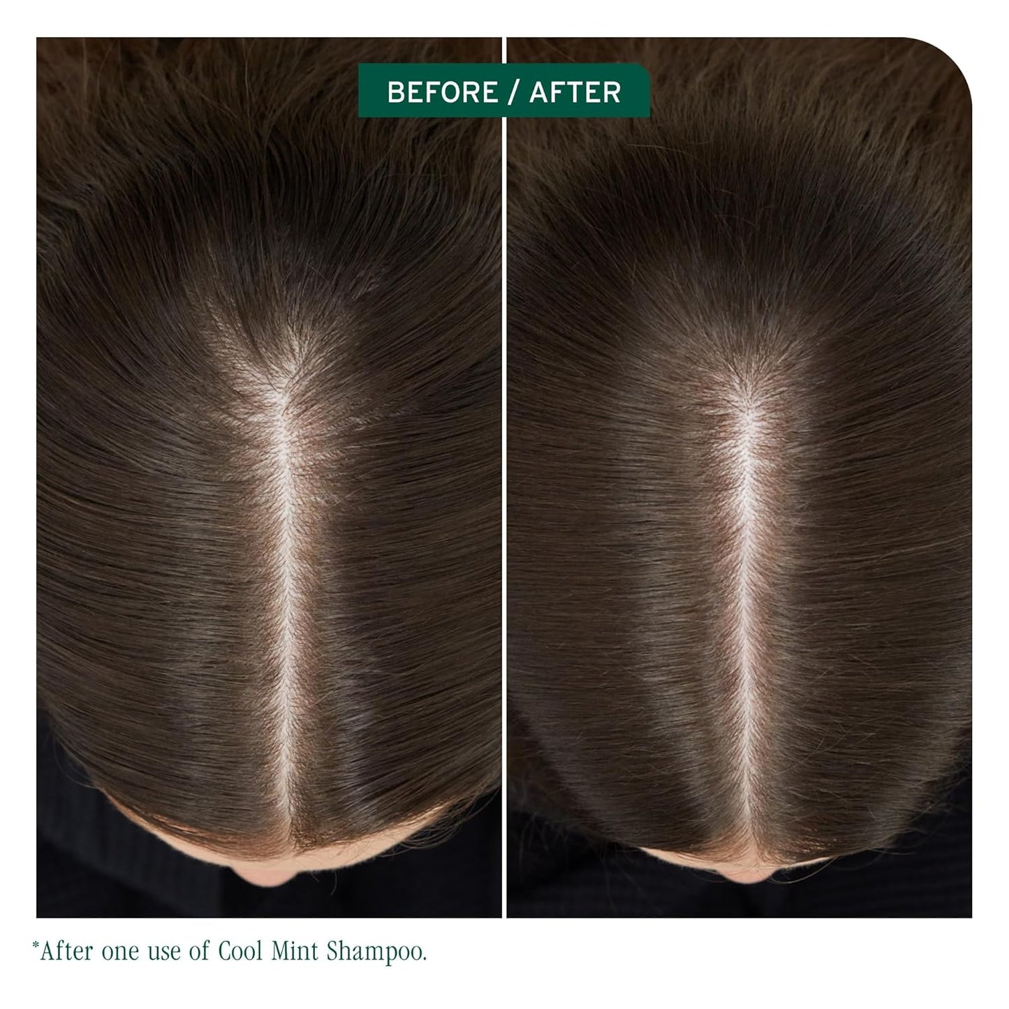 Before and after using Biolage Cool Mint Balancing Shampoo