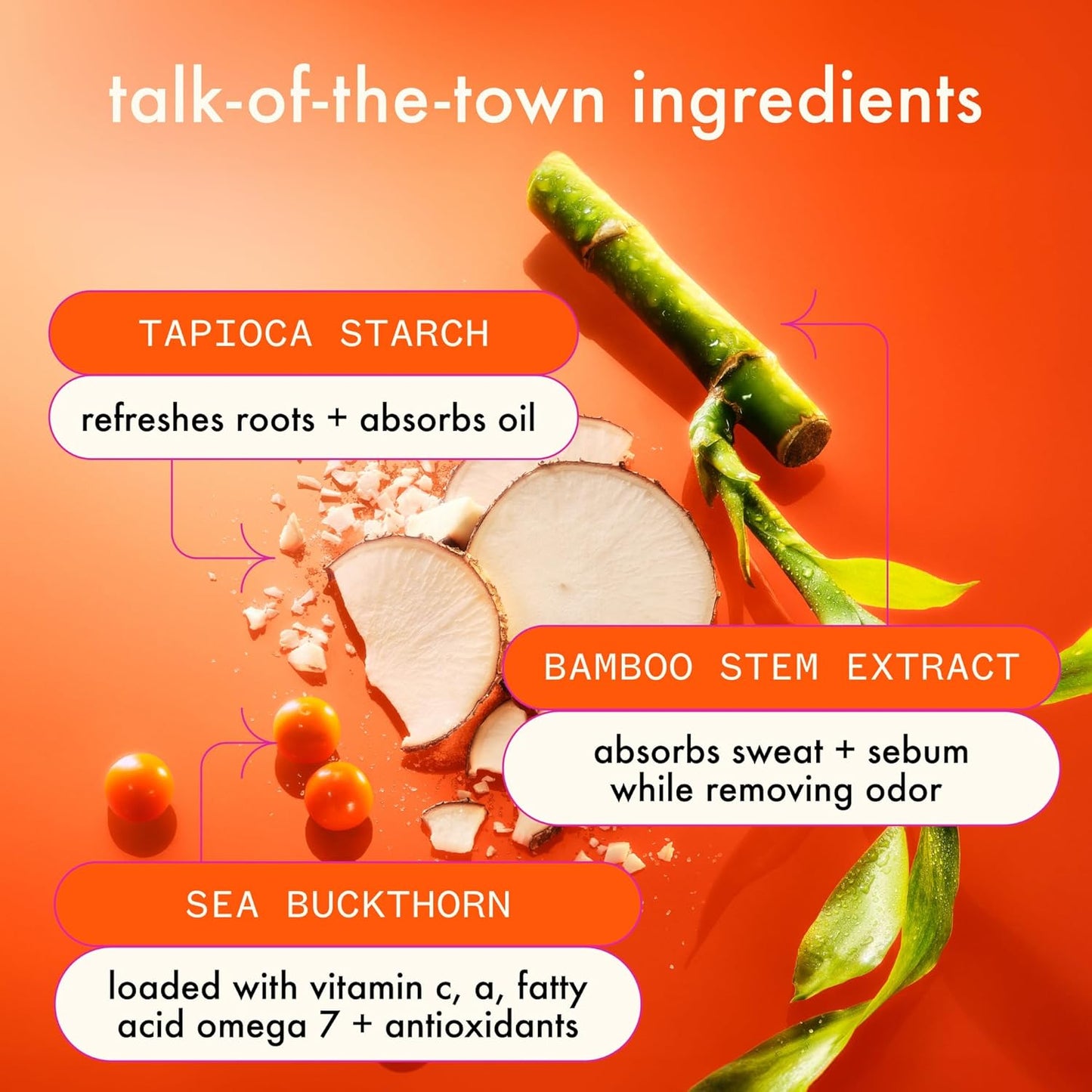 Amika Perk Up Ultra oil control dry shampoo. Includes ingredients like Tapioca Starch which refreshes roots and absorbs oil; Bamboo stem extract which absorbs sweat and sebum while removing odor; and Sea Buckthorn which is loaded with vitamin c, a, fatty acid omega 7 and antioxidants.