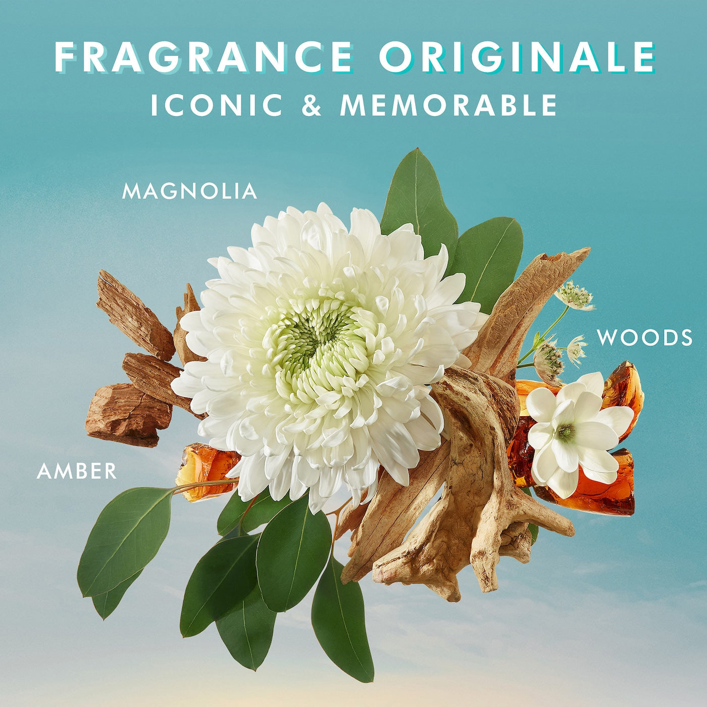 Fragrance: Amber, Magnolia, Woods