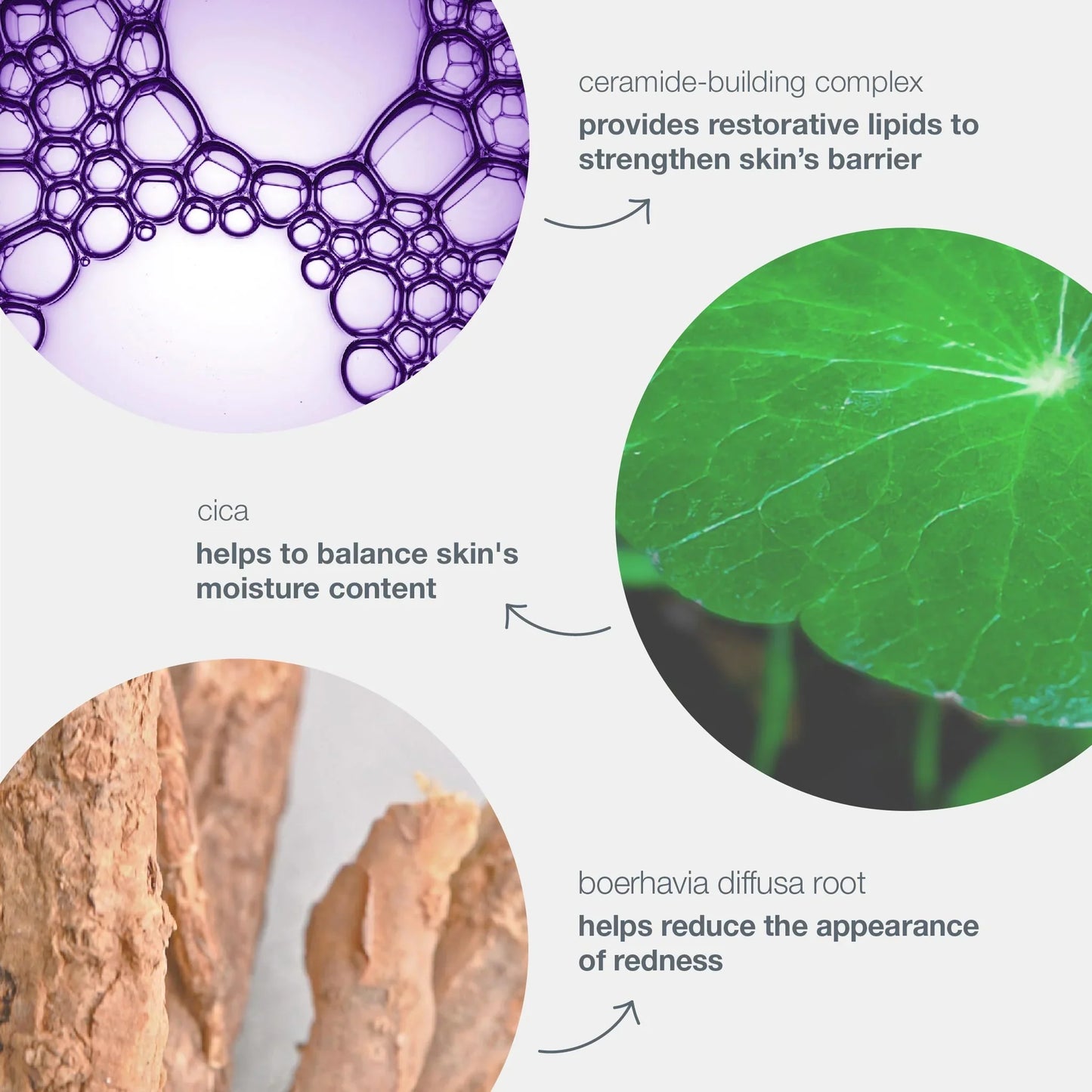 Dermalogica Stabilizing Repair Cream uses a ceramide building complex to provide restorative lipids to strengthen skin's barrier, cica to help balance the skin's moisture content, and boerhavia diffusa root to help reduce the appearance of redness
