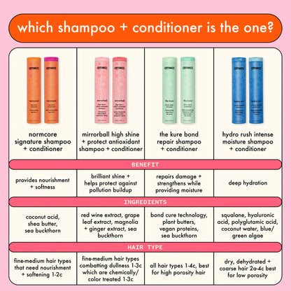 Which shampoo + conditioner is right for you? 4 series