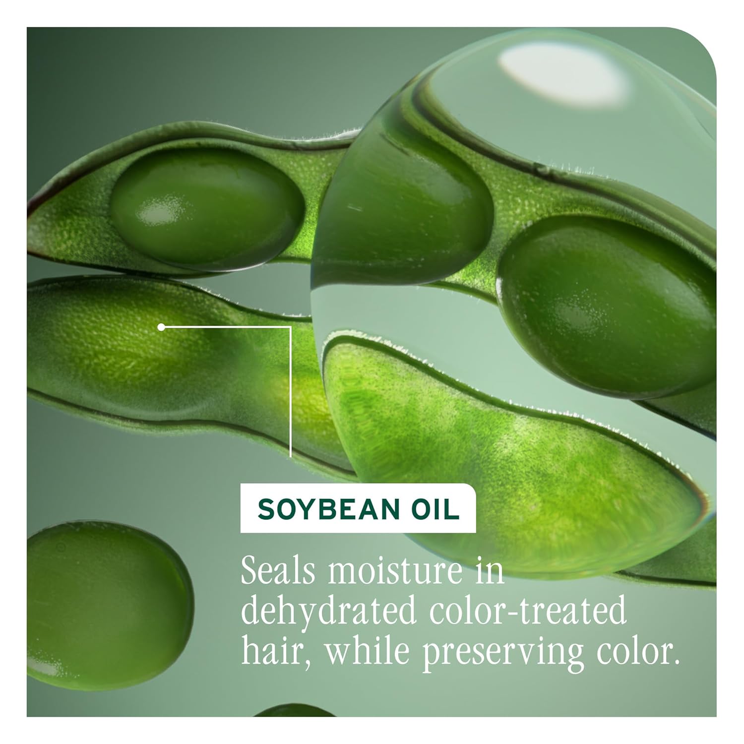 Soybean oil is the active ingredient for Biolage Color Last Conditioner