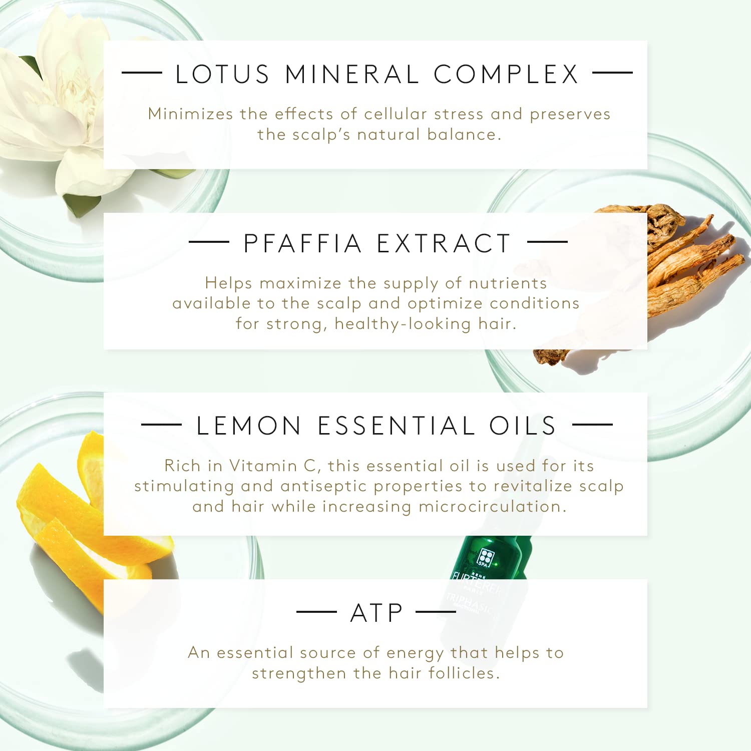 Rene Furterer Triphasic Reactional Concentrated Serum utilizes lotus mineral complex, pfaffia extract, lemon essential oils, and ATP