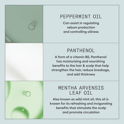 Product Description #5