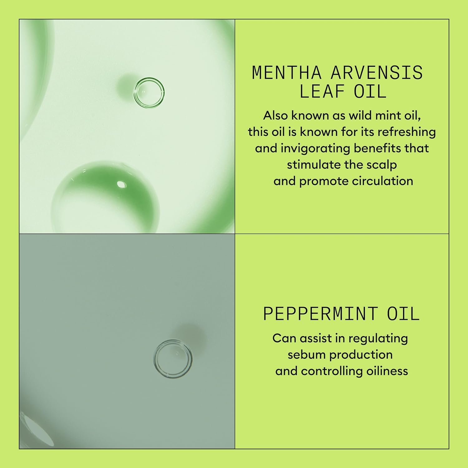 Product Description #4