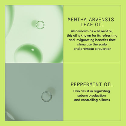 Product Description #4
