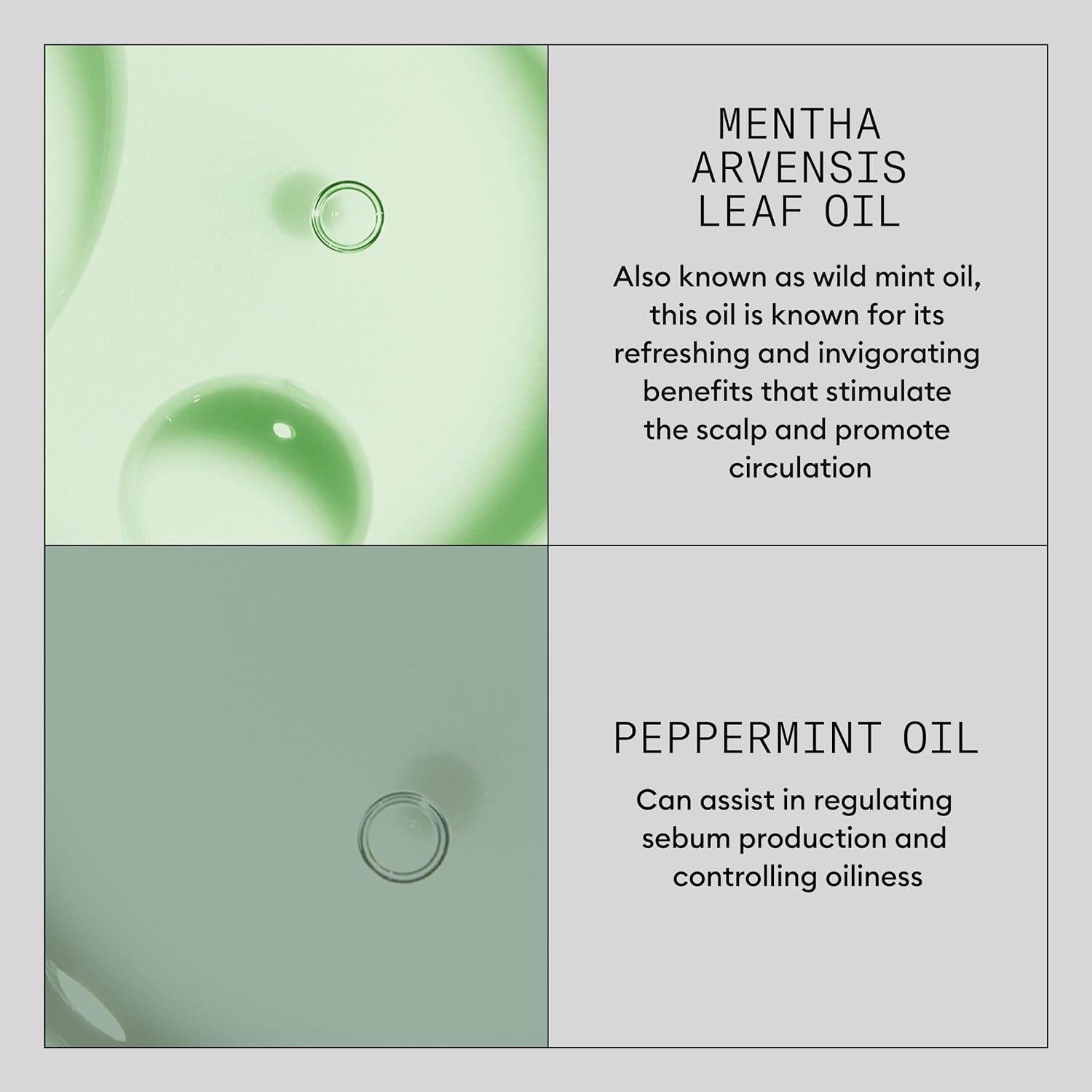 Product Description #4