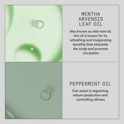 Product Description #4
