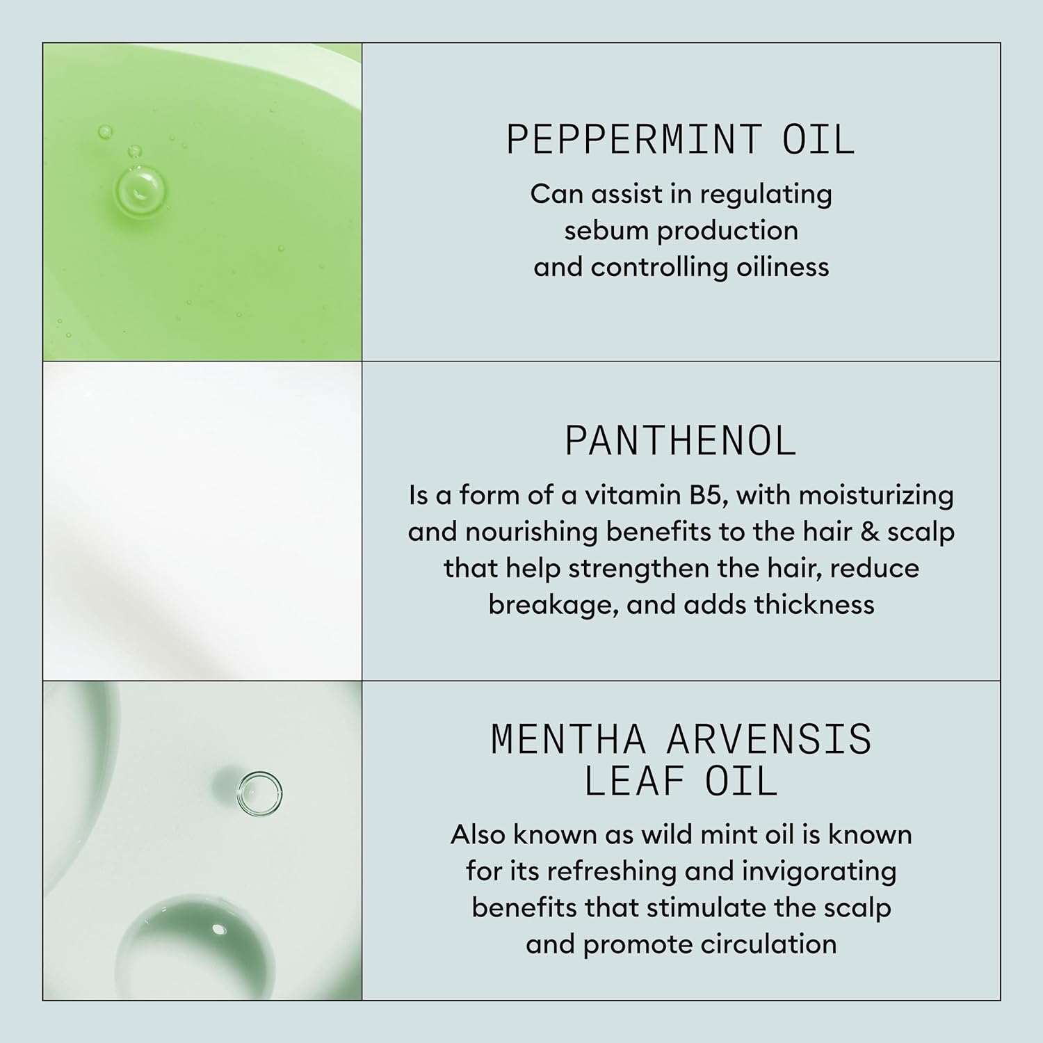 Product Description #5