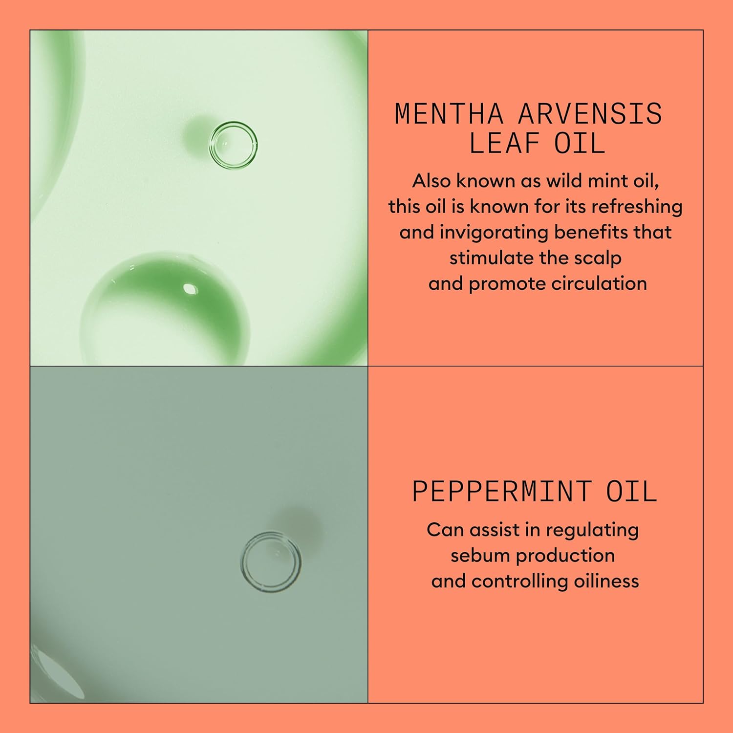 Product Description #4