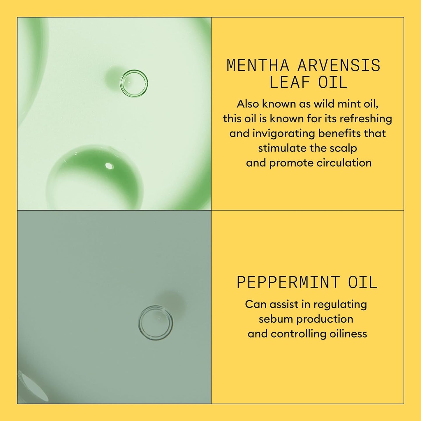 Product Description #4