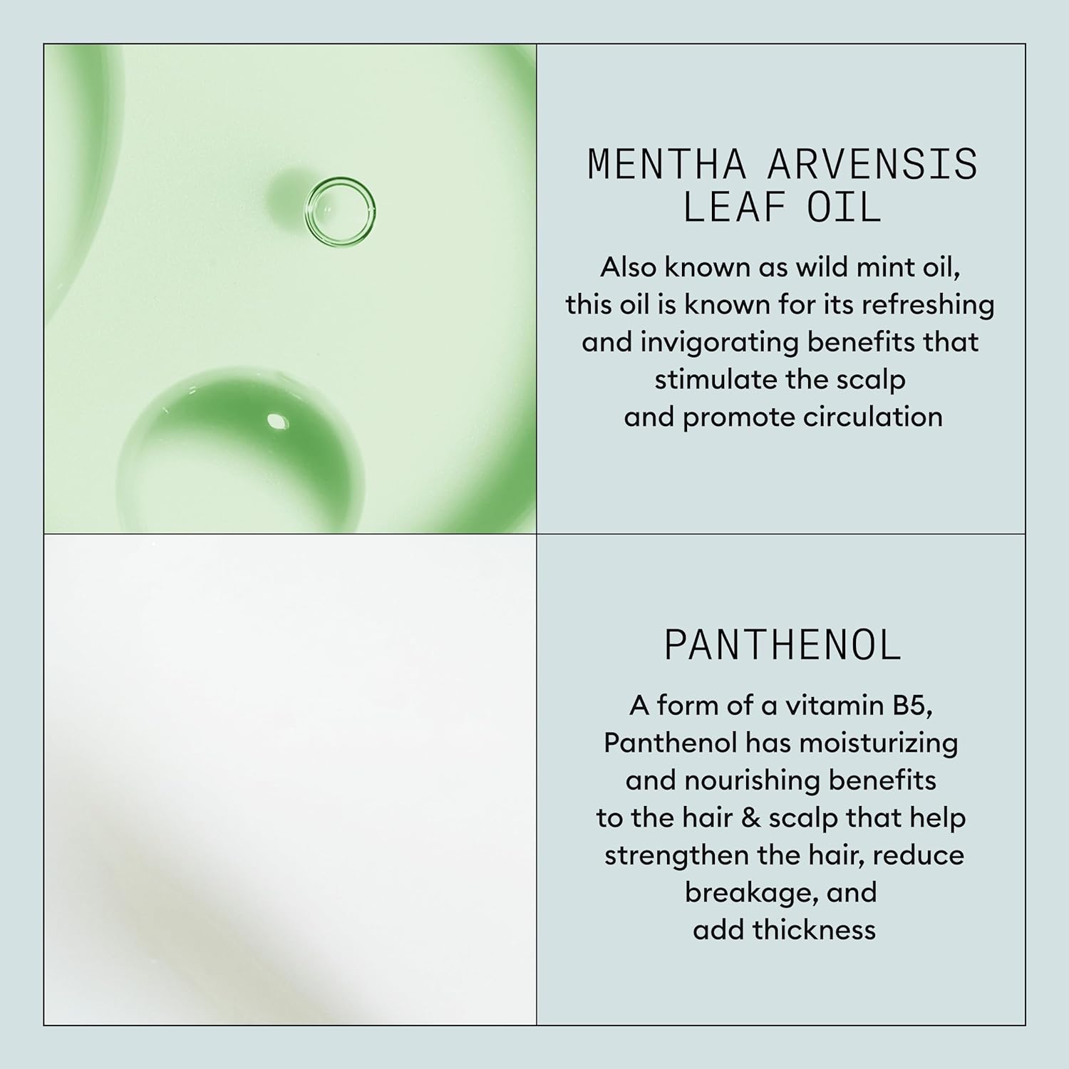 Product Description #5