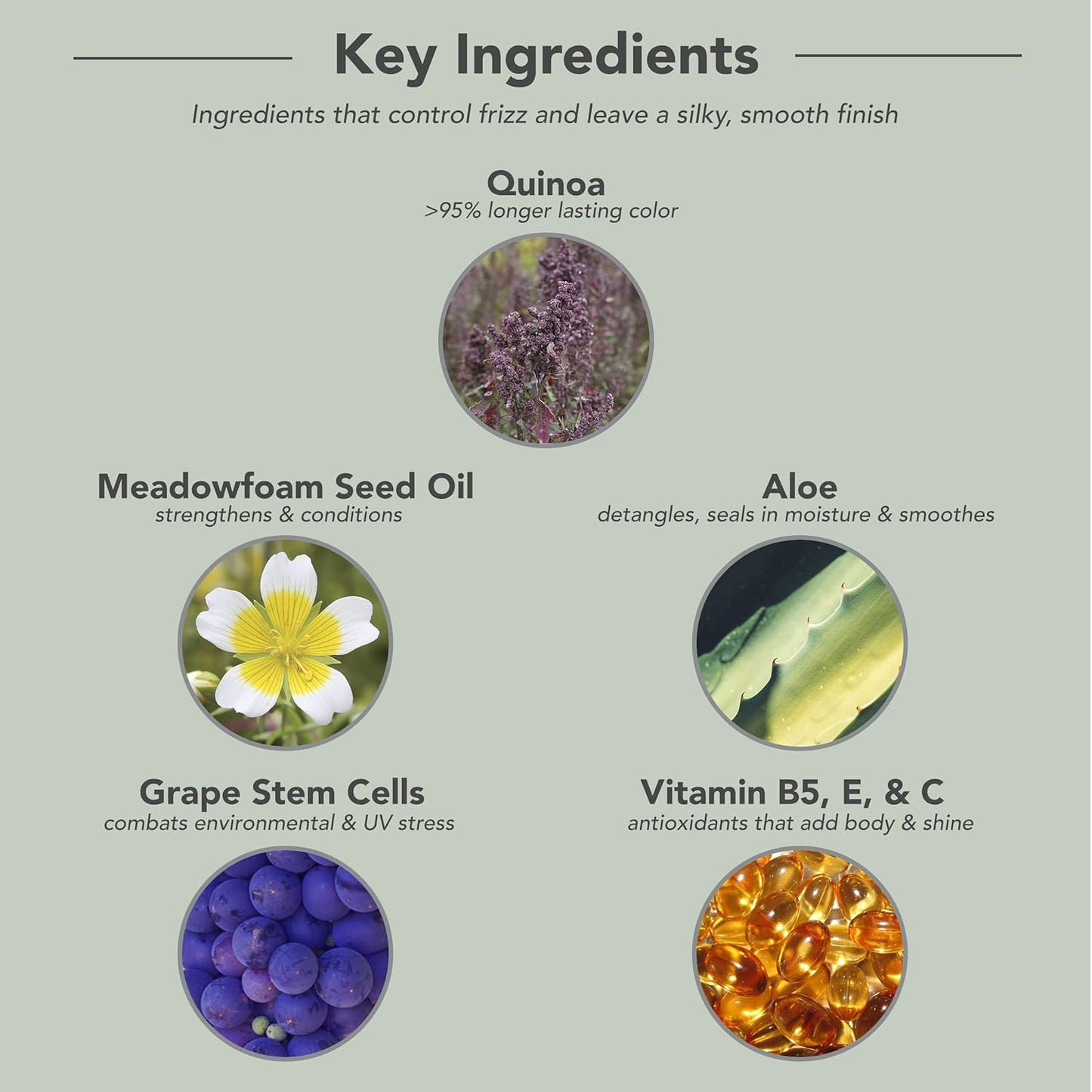 Key Ingredients