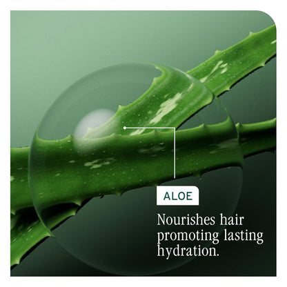 Active Ingredient of Biolage Hydra Source Conditioning Balm is aloe