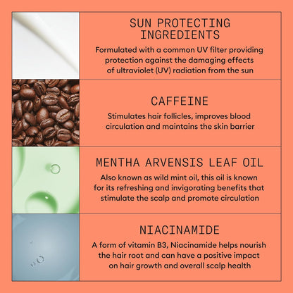 Product Description #4