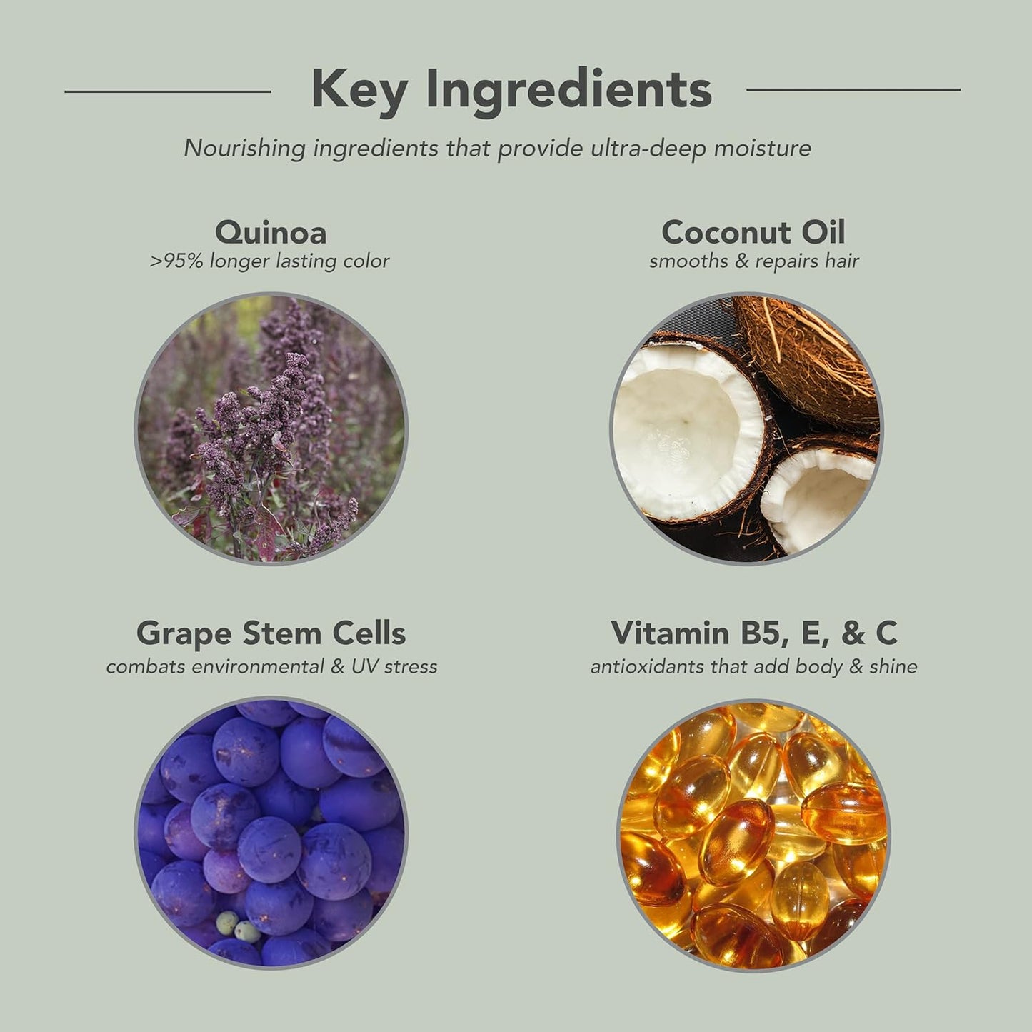 Key Ingredients