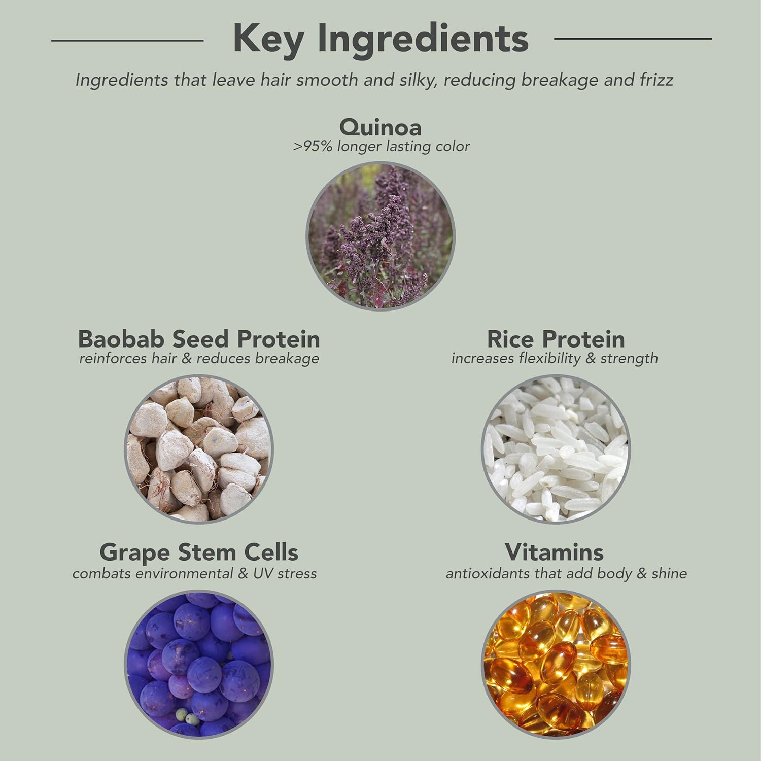 Key Ingredients