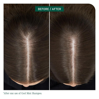 Before and after using Biolage Cool Mint Balancing Shampoo