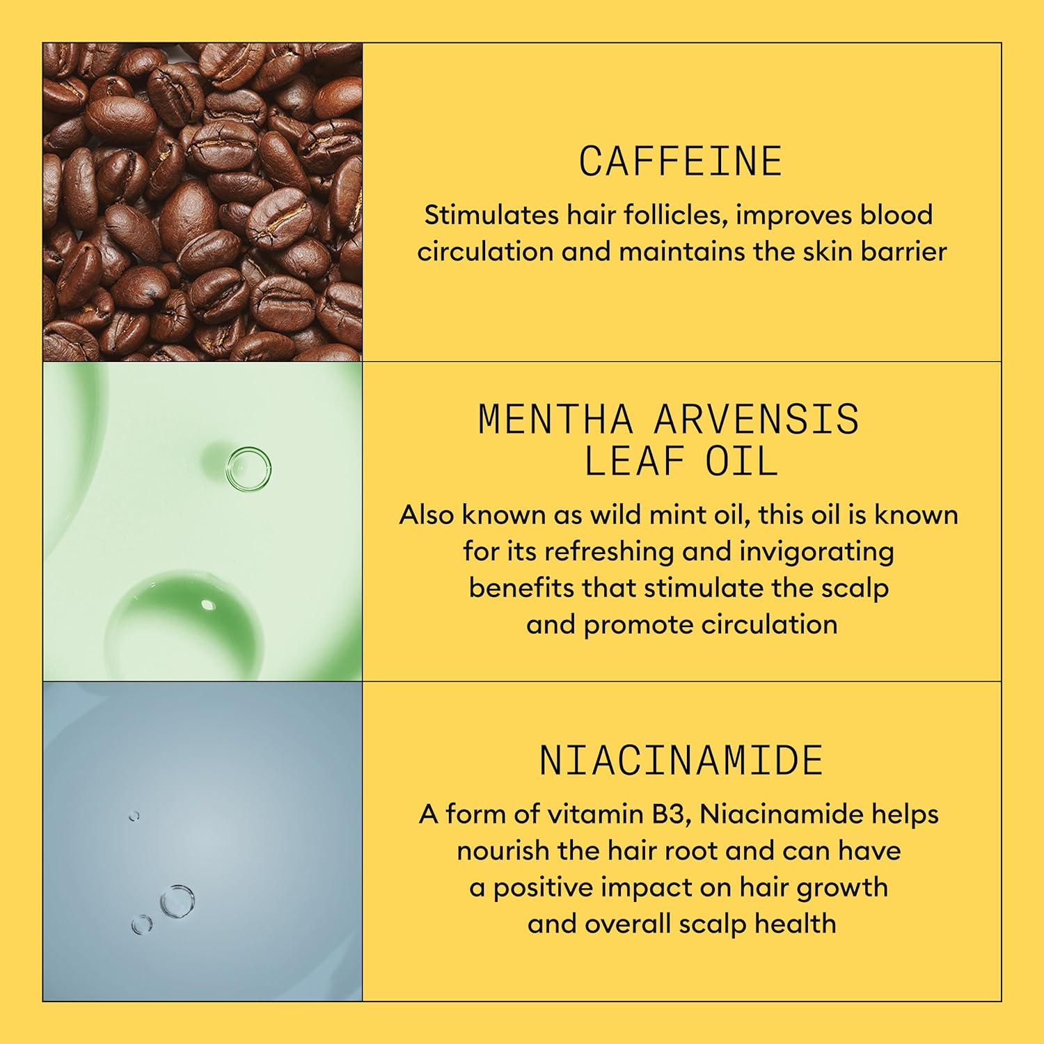 Product Description #5