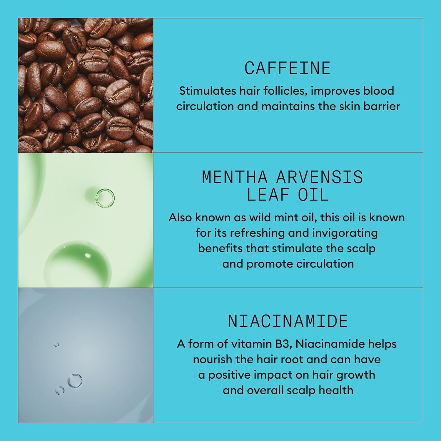 Product Description #4