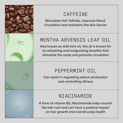 Product Description #4