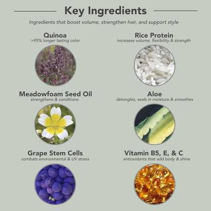 Key Ingredients