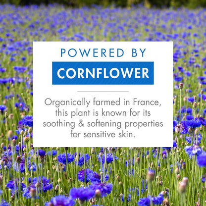 Active Ingredient Cornflower