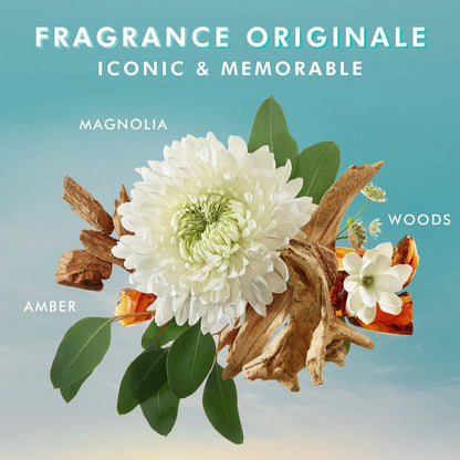 Fragrance: Amber, Magnolia, Woods