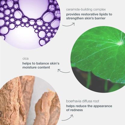 Dermalogica Stabilizing Repair Cream uses a ceramide building complex to provide restorative lipids to strengthen skin's barrier, cica to help balance the skin's moisture content, and boerhavia diffusa root to help reduce the appearance of redness